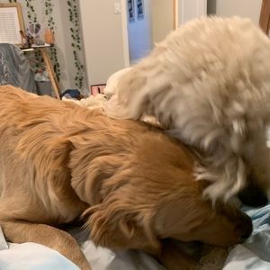 Meet your Posher, Marissa